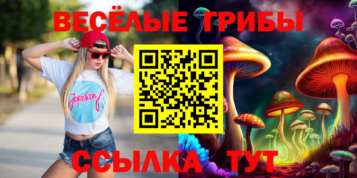 Псилоцибиновые грибы Psilocybine cubensis Советск