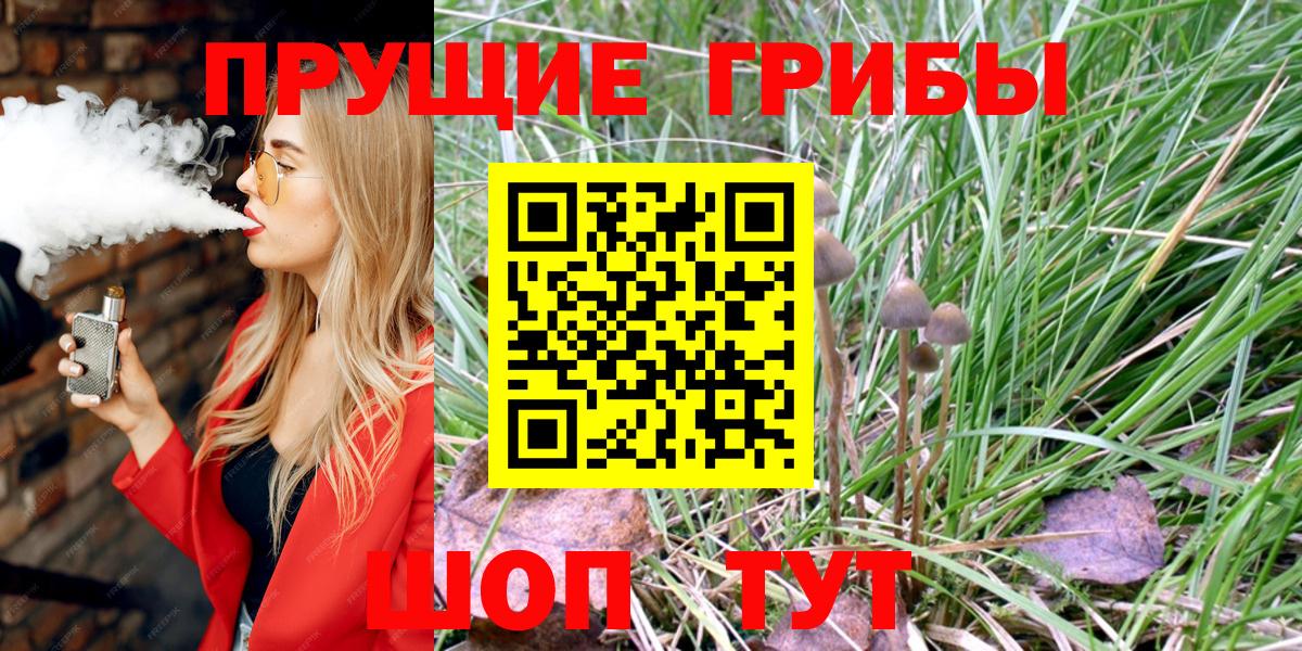 Советск  Псилоцибиновые грибы Psilocybine cubensis  Вход с VPN 